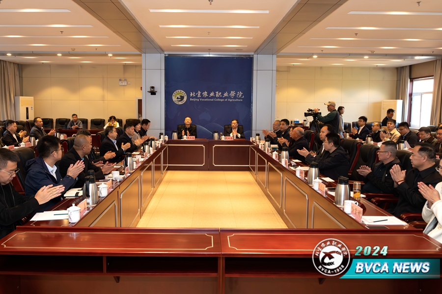 A73A5887-已增强-降噪_副本