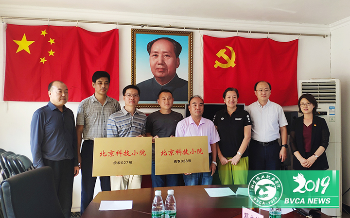 1572236671874035623.jpg 2019101402.jpg