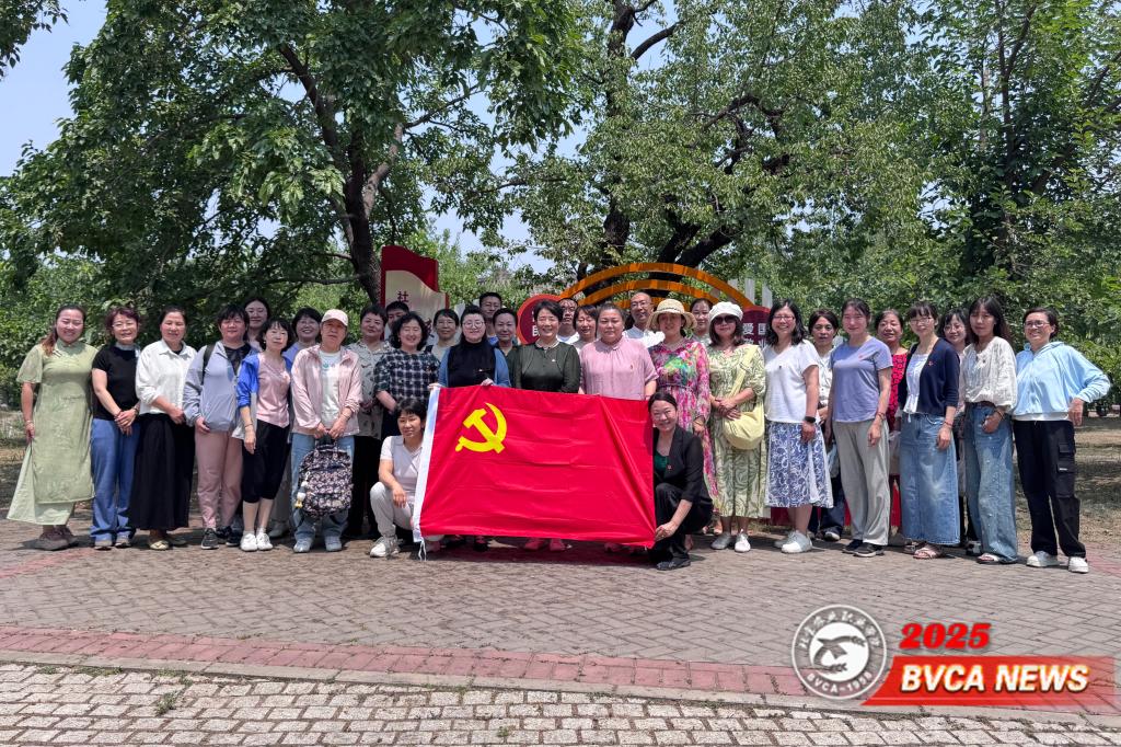 党建促共建 匠心强内涵——商务与管理学院党总支开展主题党日活动