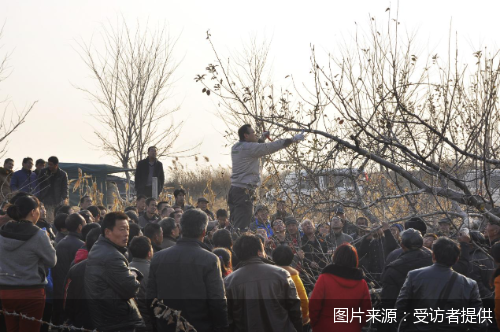 图片来源:受访者提供