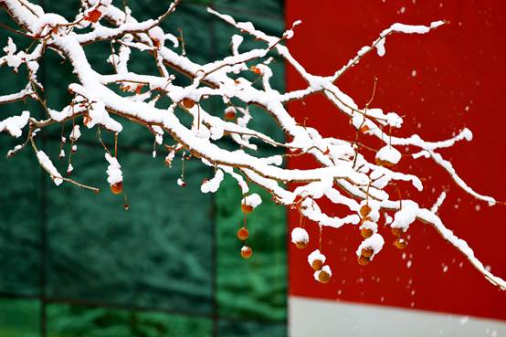 图片包含 蛋糕, 标志, 食物, 关描述已自动生成